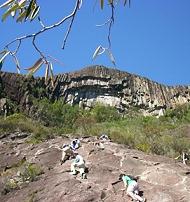 Mountain Climbing on the Glasshouse Mountains